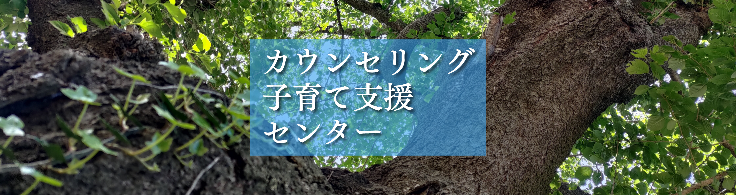 カウンセリング子育て支援センター