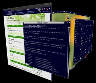 compiz で 3D デスクトップになった。