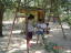 ǎ@uNew familyv