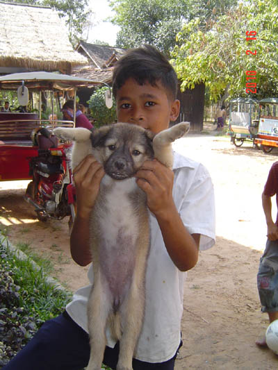 ǎ@uNew familyv
