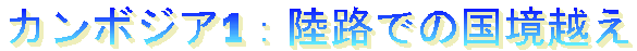 J{WA1FHł̍z